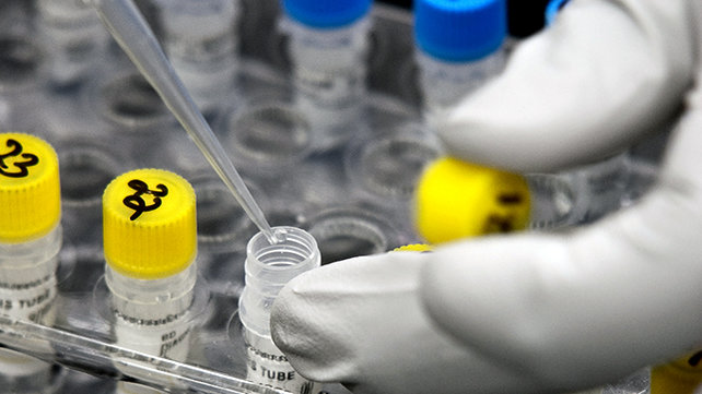 Cardiovascular Research